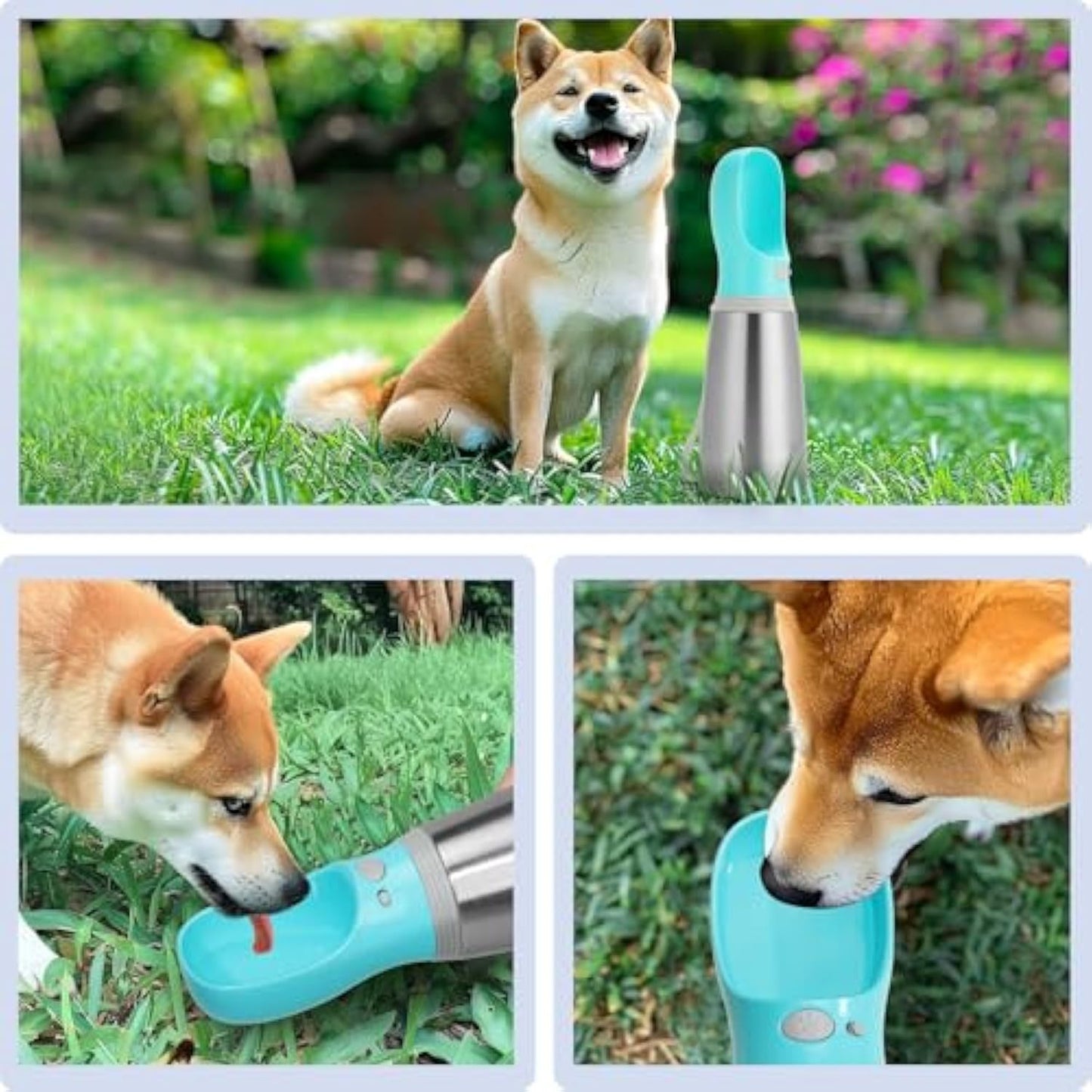 Portable Dog Water Bottle 700ml Stainless Steel Leak Proof Puppy Water Dispenser With Drinking Feeder For Pets Travel Walking Hiking And Outdoor Activities